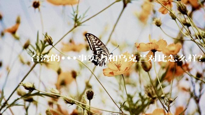 台湾的***事实力和乌克兰对比怎么样？